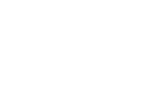 Black Shed logo